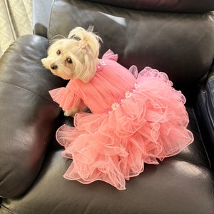 Pastel Princess Tulle Dress
