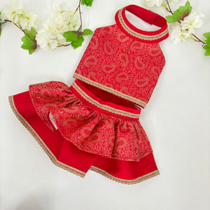 Paisley Lehenga Choli