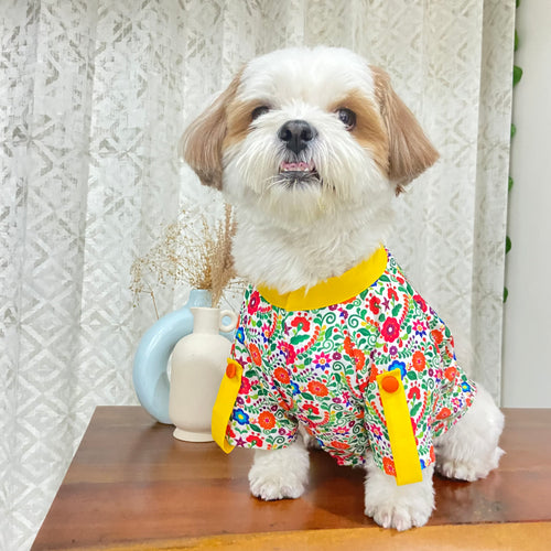Rainbow Flower Kurta