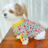 Rainbow Flower Kurta thumbnail