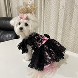 Black Tulle Lace & Blush Pink Dress thumbnail