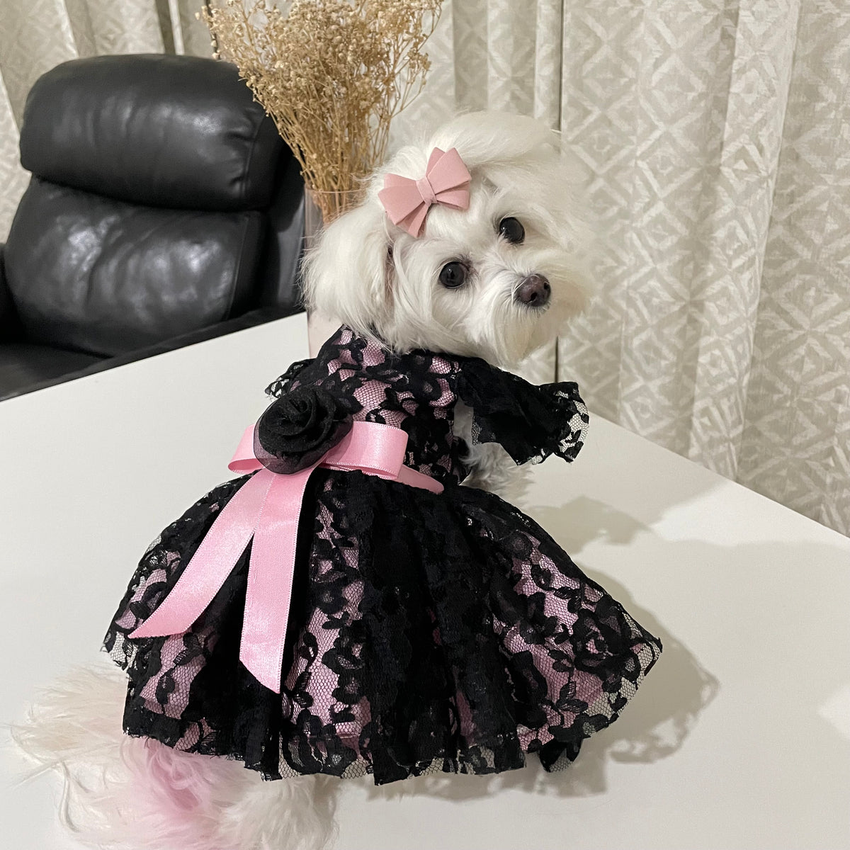 Black Tulle Lace & Blush Pink Dress