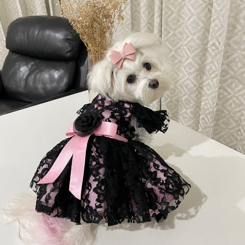 Black Tulle Lace & Blush Pink Dress