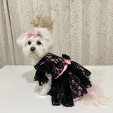 Black Tulle Lace & Blush Pink Dress thumbnail