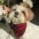 Maroon Jazzy Bandana thumbnail