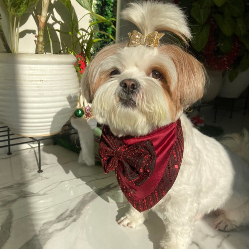 Maroon Jazzy Bandana
