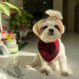 Maroon Jazzy Bandana thumbnail