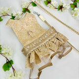 White & Gold Pearl Harness lehenga dress thumbnail