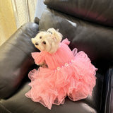 Pastel Princess Tulle Dress thumbnail
