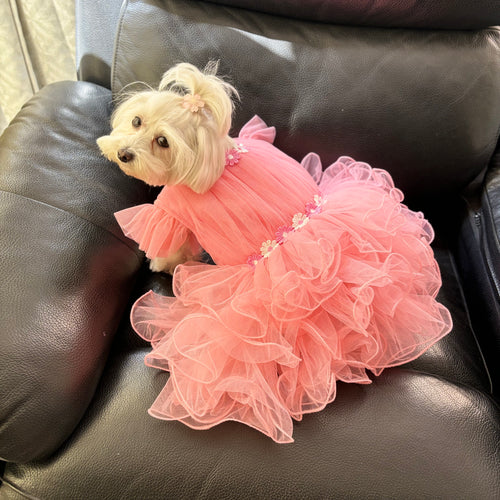 Pastel Princess Tulle Dress