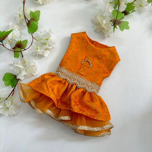Orange Haldi Harness dress