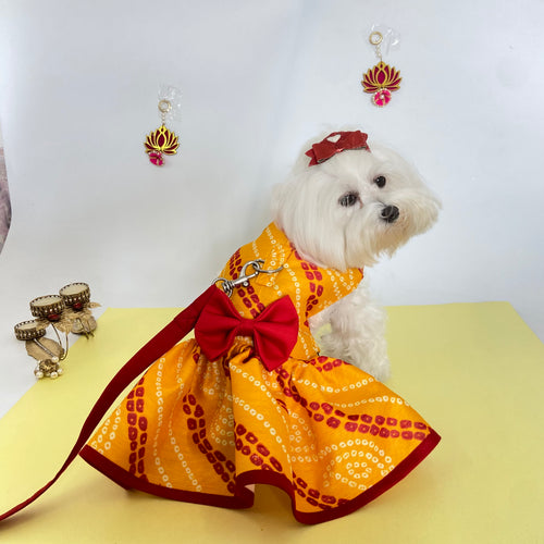 Yellow Bandini Dress Harness