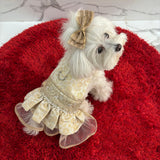 White & Gold Pearl Harness lehenga dress thumbnail
