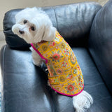 Haldi Embroidered Sherwani thumbnail