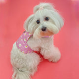 Daisy Flower Harness thumbnail