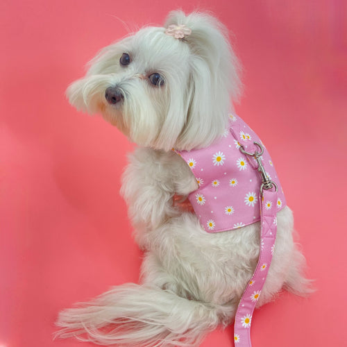 Daisy Flower Harness