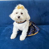 Midnight Blue Booti Lehenga Choli thumbnail