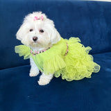 Pastel Princess Tulle Dress thumbnail