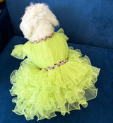 Pastel Princess Tulle Dress thumbnail