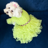 Pastel Princess Tulle Dress thumbnail