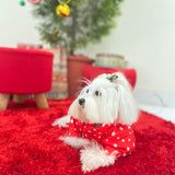 Noel Star Jacket thumbnail