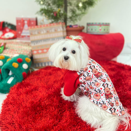 Red Reindeer Jacket