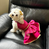 Fuchsia Flowers Lehenga Choli thumbnail