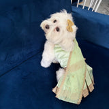 Pastel Green Saree thumbnail