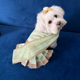Pastel Green Saree thumbnail