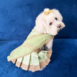Pastel Green Saree thumbnail