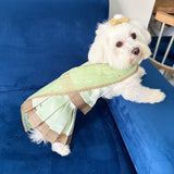 Pastel Green Saree thumbnail