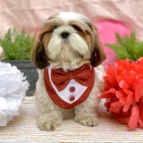 Shimmer Ruby Bandana thumbnail