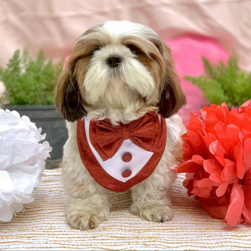 Shimmer Ruby Bandana