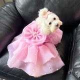 Pearl Princess Dress thumbnail