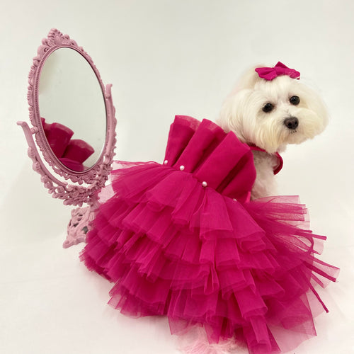 Pink Tulle Princess dress