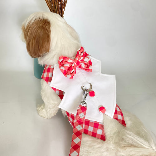 Plaid Tuxedo Harness