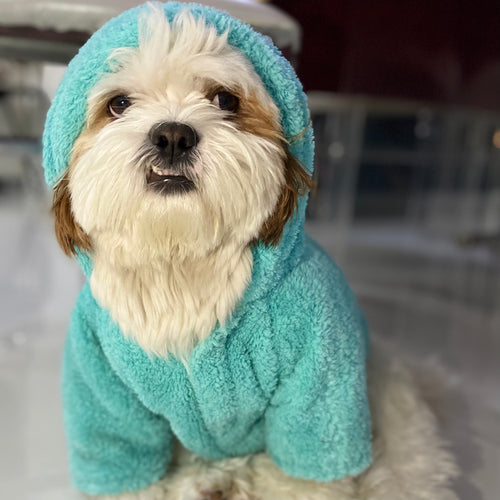 Snuggly Hoodie
