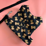 Teddy Harness thumbnail