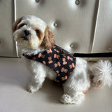 Teddy Harness thumbnail