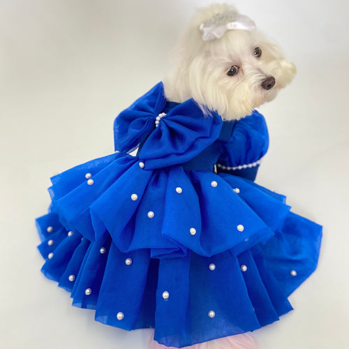 Pearl Princess Dress