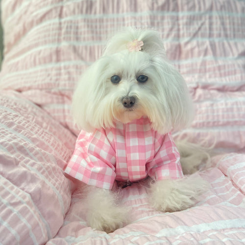 Pink Gingham Shirt