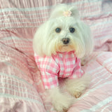Pink Gingham Shirt thumbnail