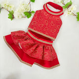 Paisley Lehenga Choli thumbnail