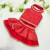 Paisley Lehenga Choli thumbnail