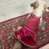 Paisley Lehenga Choli thumbnail
