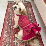 Paisley Lehenga Choli thumbnail