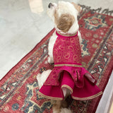 Paisley Lehenga Choli thumbnail