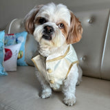 Gold & White Pearl Sherwani thumbnail