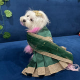 Mehendi Green Saree thumbnail