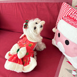 Fluffy Christmas  Harness thumbnail